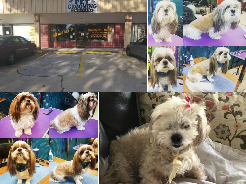 Shelba's Pet Grooming