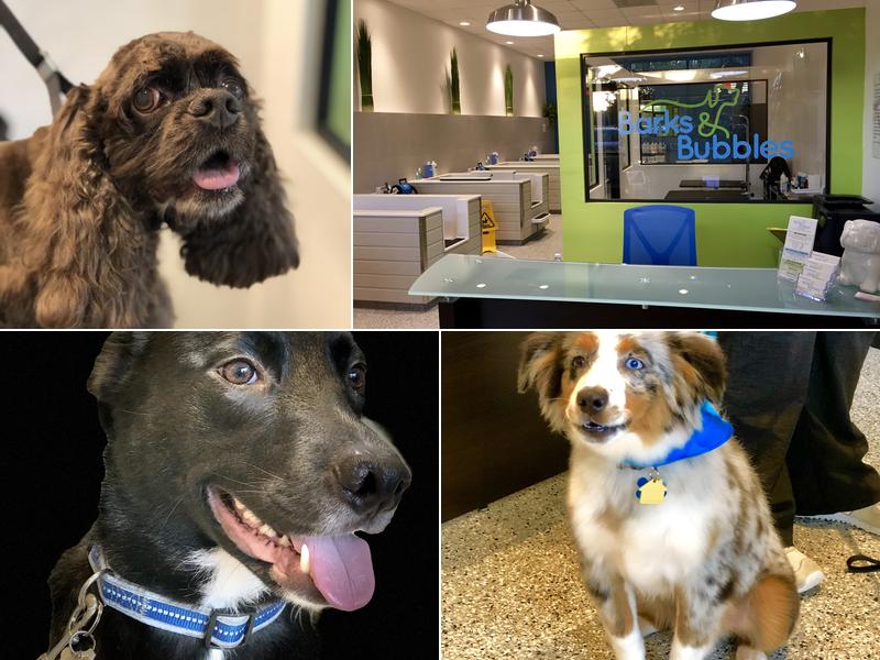 Barks & Bubbles Dog Grooming Spa