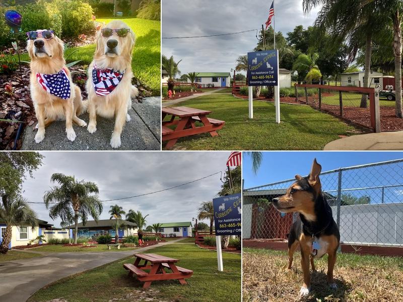 The Dawg House Pet Resort