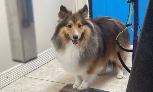 Jens Pet Grooming 7224 S U.S. Hwy 1, Port St. Lucie Florida 34952