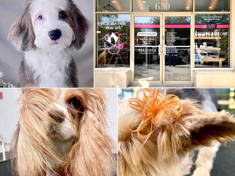 Victoria Park Paw Spa