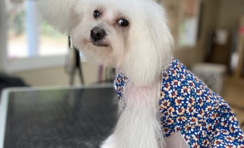 Barking Lot Boutique, Inc