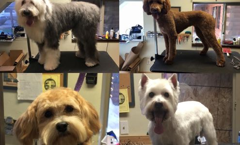 Mccall Pet Spa 102 N 3rd St STE 100, McCall Idaho 83638