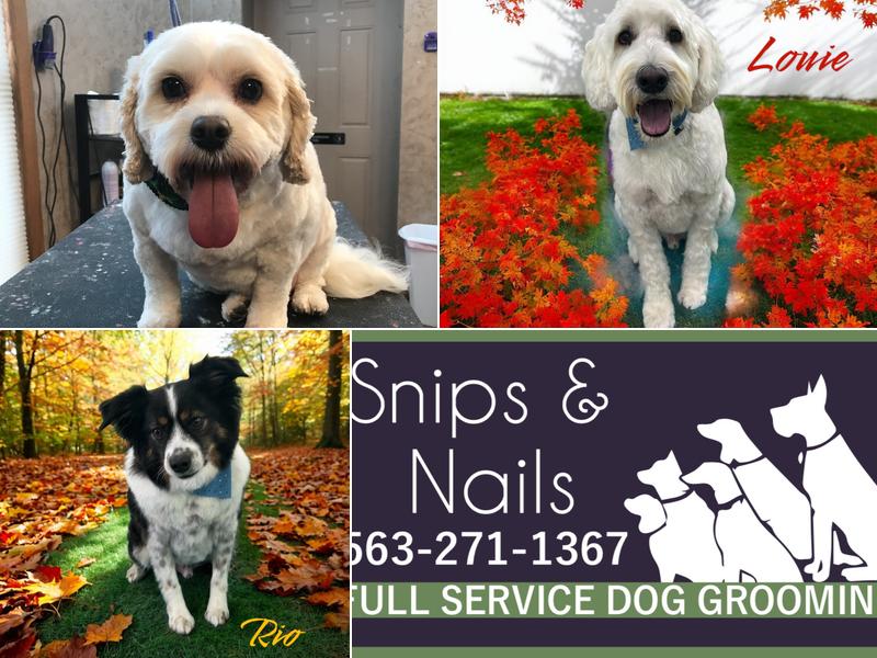 Snips & Nails & Puppy Dog Tails