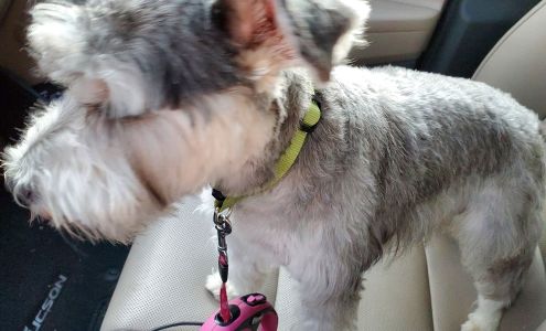 Spaw Patrol 322 N Main, Chatham Illinois 62629