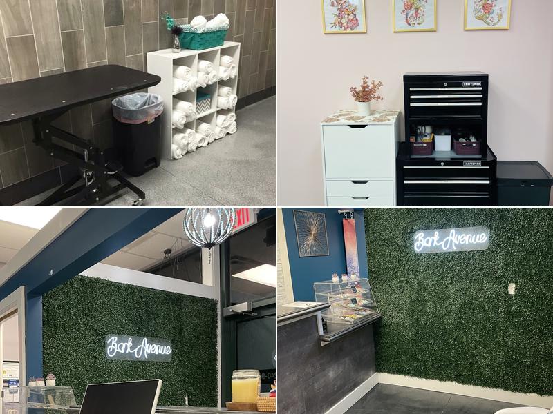 Bark Avenue Play and Spa