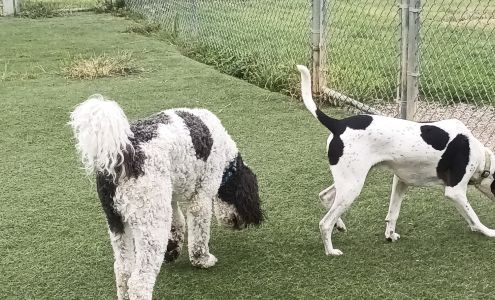 Critterville Pet Resort