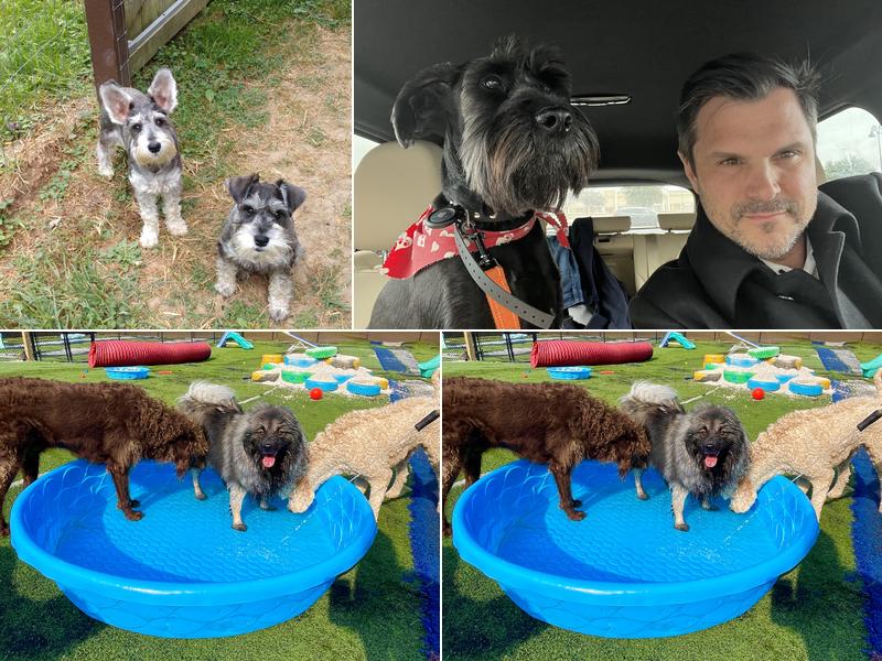 Hillside Boarding and Kennel