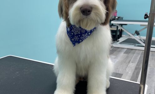 Grooming Girls Pet Salon 135 Harrison Rd, Brookville Indiana 47012