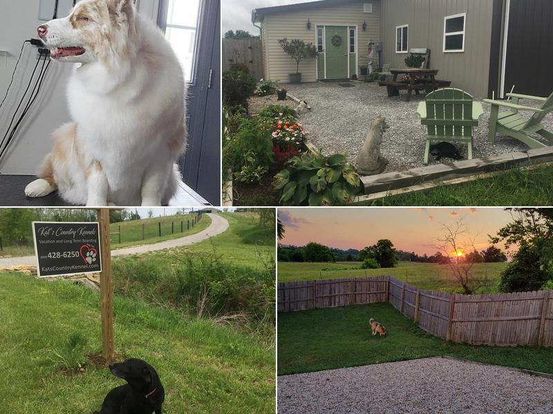 Kats Country Kennels