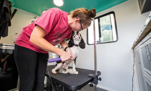 WisePup Grooming, LLC