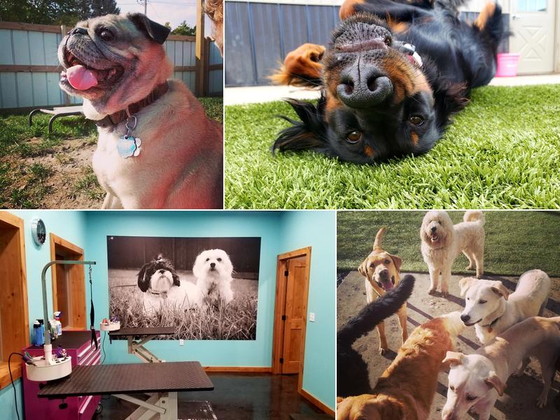 Pampered Pets Retreat & Spa