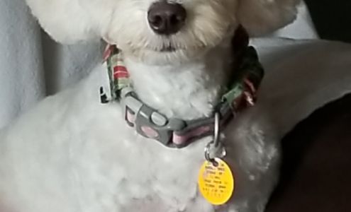 Mary Kay Grooming Station 1520 N Federal Ave, Mason City Iowa 50401