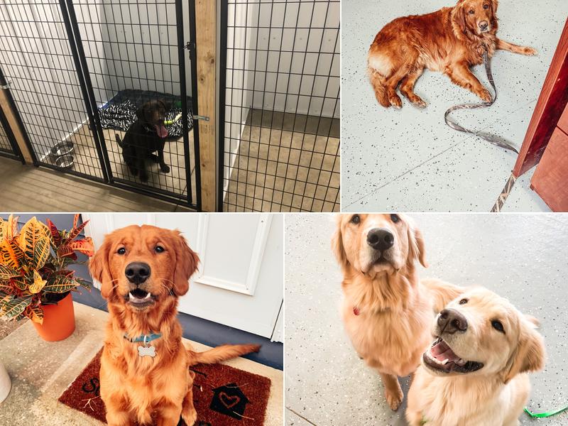 MISSY’S GROOM & BOARD