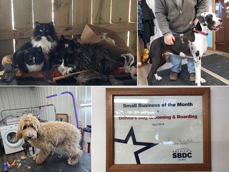 Donna's Dog Grooming & Boarding