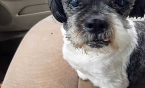 Karen's Pooch Parlor