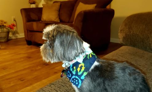 Bed N Biscuit Inn LLC