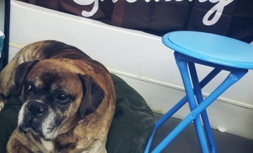 Happy Dogs 359 Langdon St, Somerset Kentucky 42503