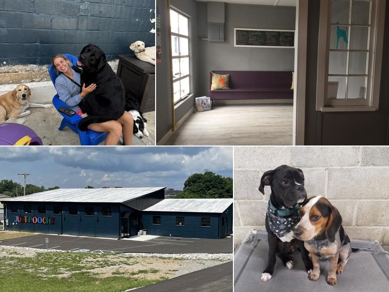 Just Poochy Grooming, Daycare, & Boarding