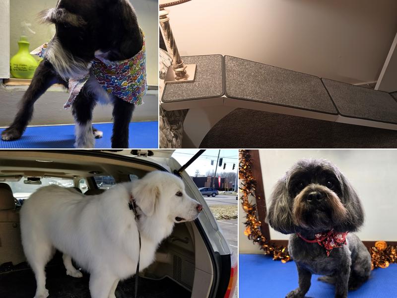 Zen Grooming (Previously The Red Dog Salon)