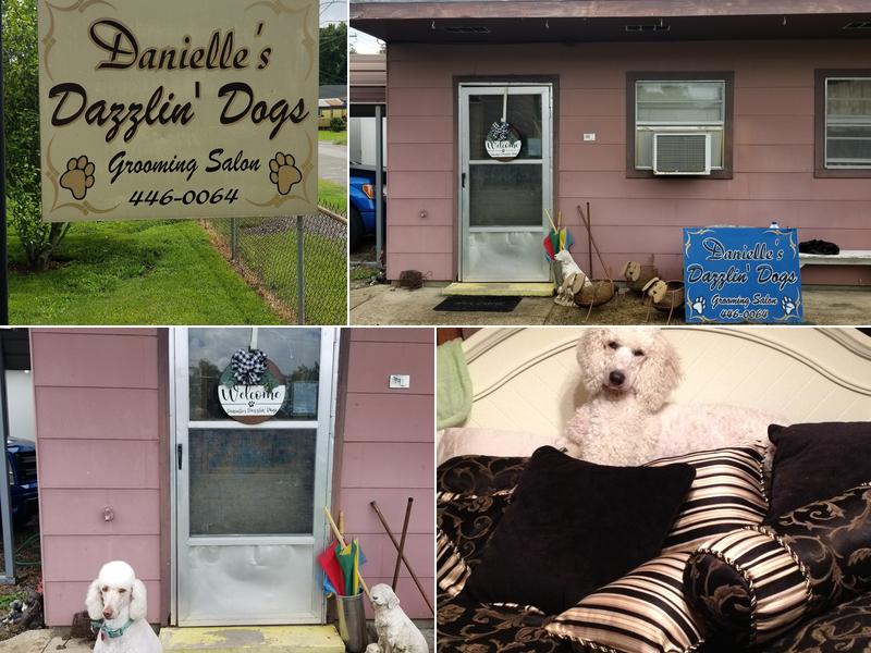 Danielle's Dazzlin' Dogs
