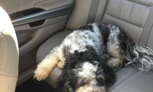 The Groomer's Corner