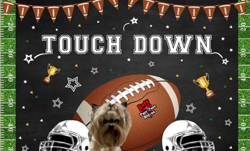 Ruff Cuts & PurrFect Styles 110 4th St, Jennings Louisiana 70546