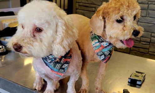 Dogwood Paw Spa and Resort 1301 E McNeese St Suite 304, Lake Charles Louisiana 70607