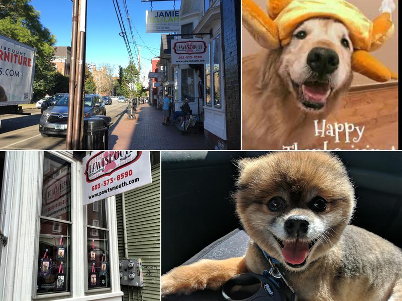 Pawtsmouth Grooming Salon