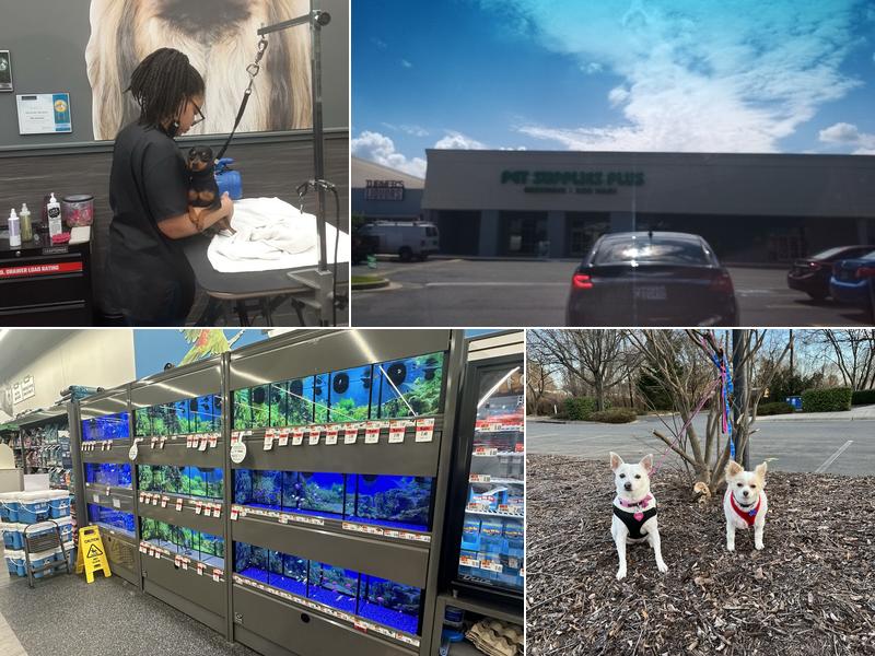 Pet Supplies Plus Pasadena
