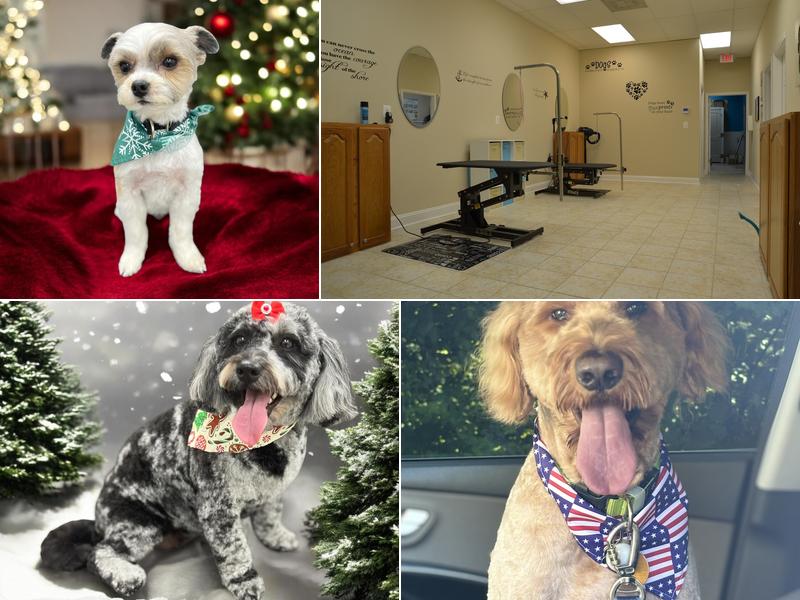 Pet Paradise Salon & Spa