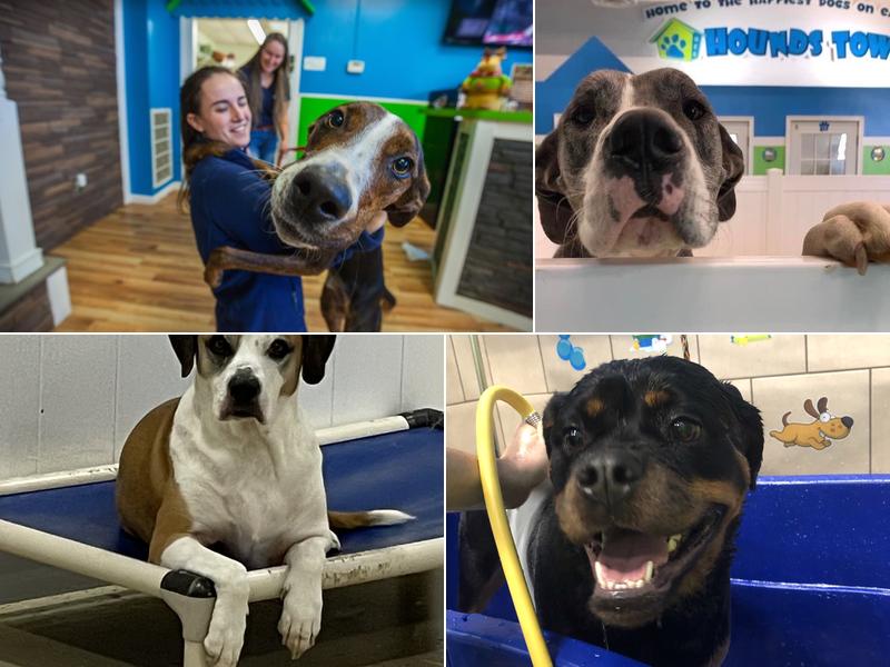 Hounds Town Gaithersburg