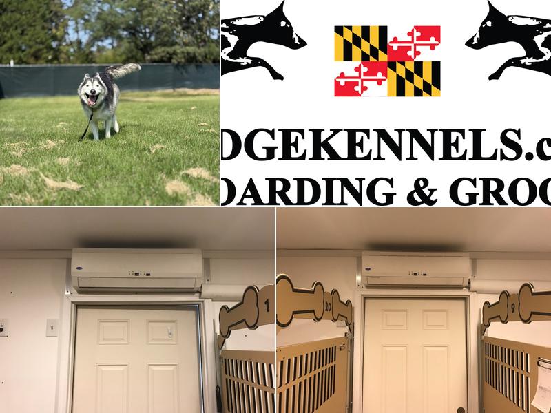 Ridge Kennels LLC