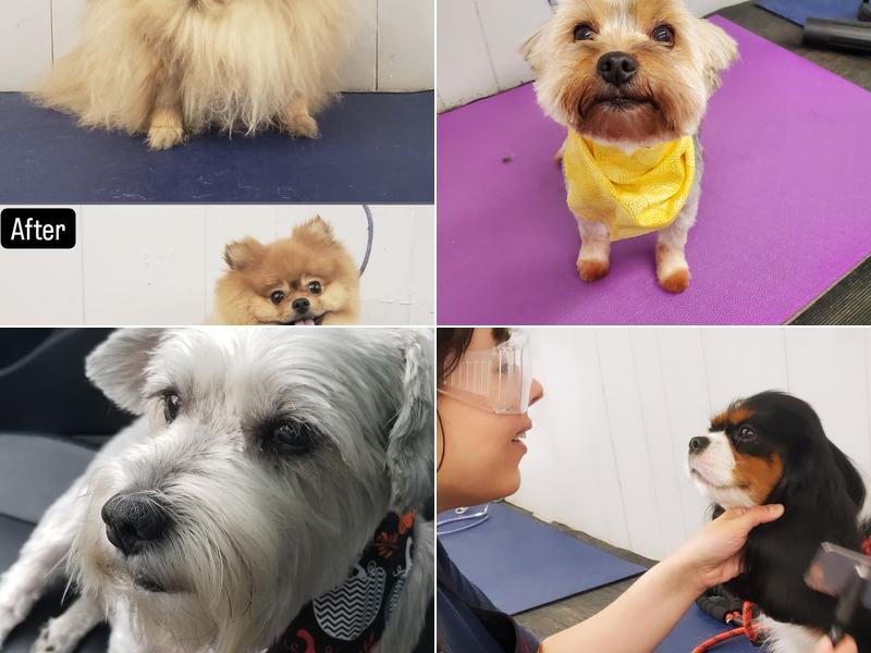 Ms. Edna's House (17+ Years Experience)