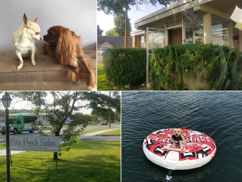 Petit Pooch Salon