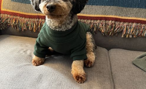 Wags & Purrs Pet Care Center