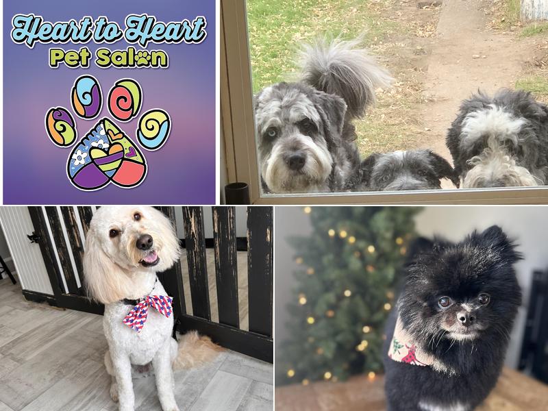 Heart To Heart Pet Salon
