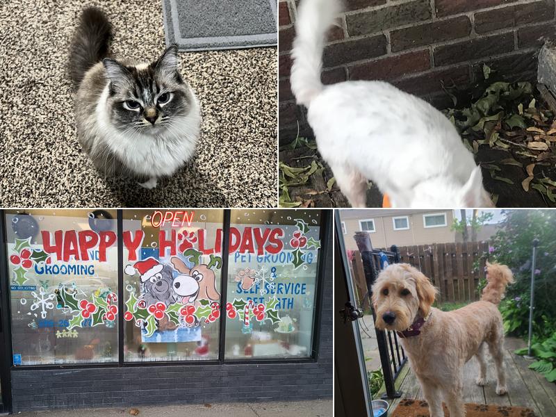 Fuzzy Friends Grooming Inc