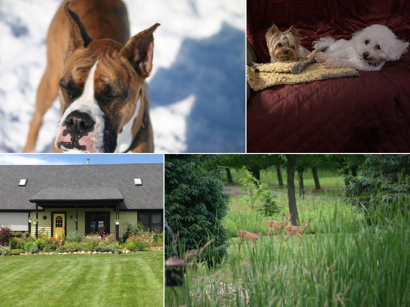 Karla's Bed & Biscuit