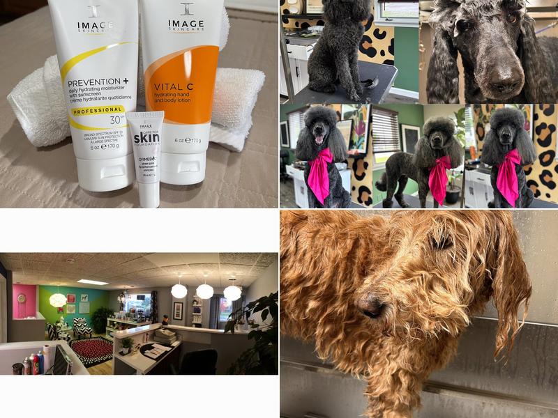 Groomingtale's Pet Salon