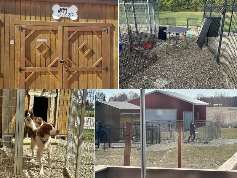 Suzy's Bed and Biscuit