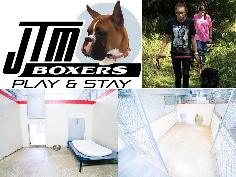 JTM Boxers Play And Stay