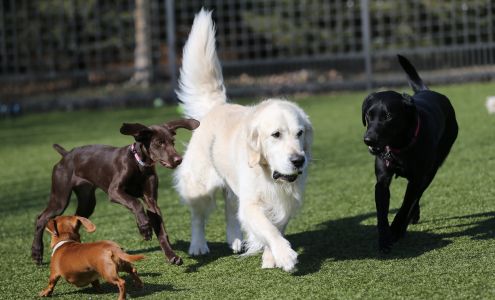 Top Dog Country Club 5120 Vega Ave, New Germany Minnesota Top Dog