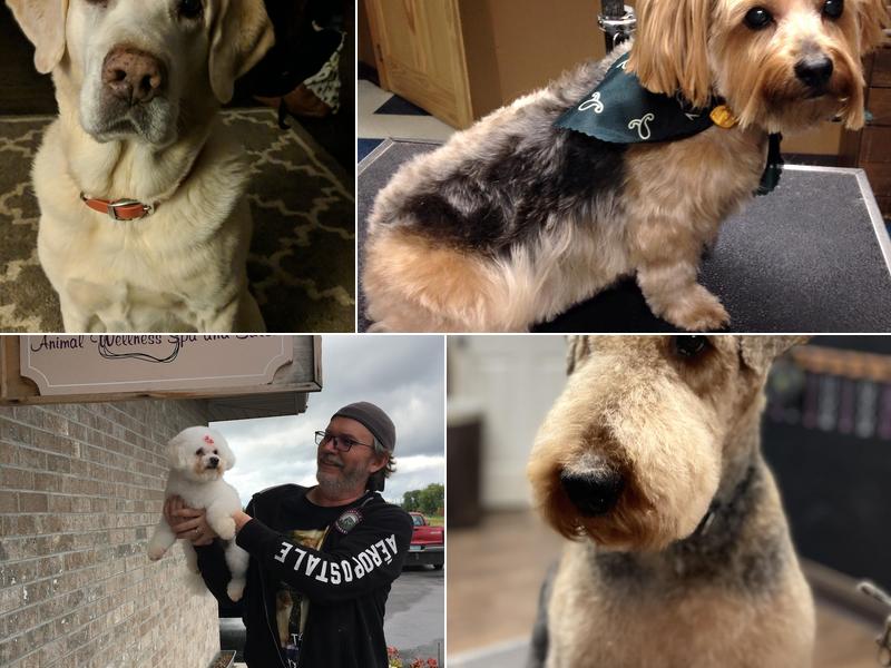 Petopia Animal Wellness Spa and Salon