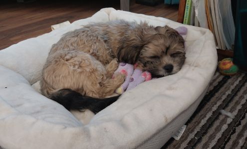 Kanga’s Clips 613 Atlantic Ave, Morris Minnesota 56267