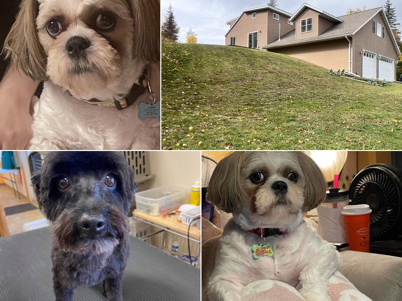 Tailwaggers Pet Grooming