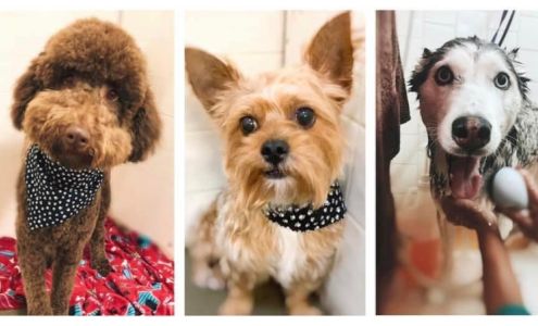 Pet Resort Boarding, LLC