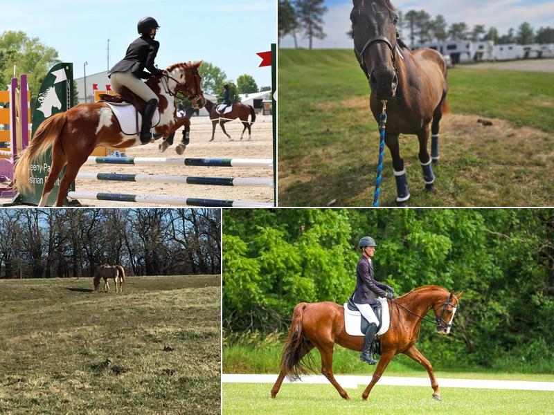 Columbia Equestrian Center LLC