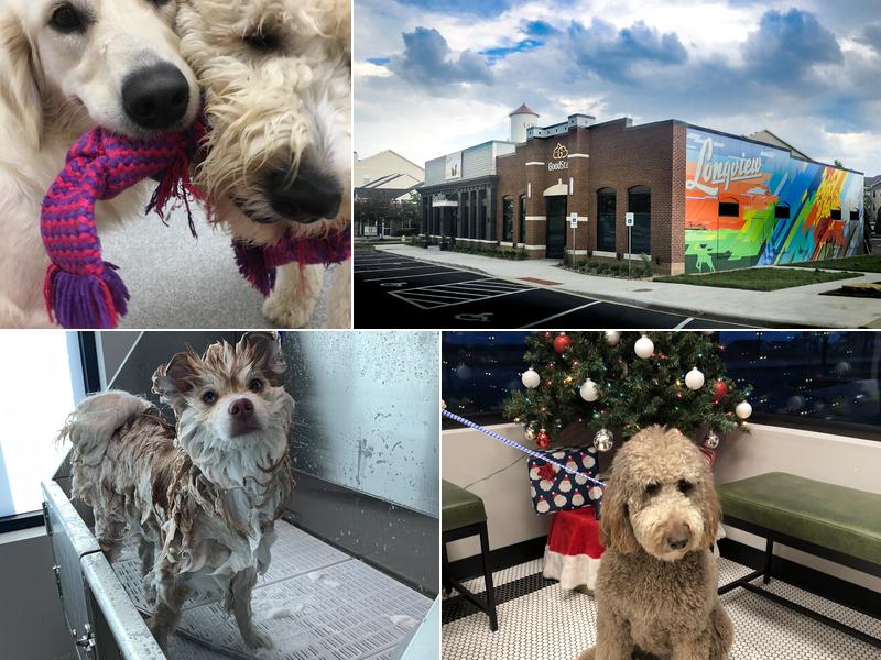 GoodVets Lee's Summit