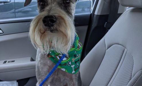 Doggie Spa Of America